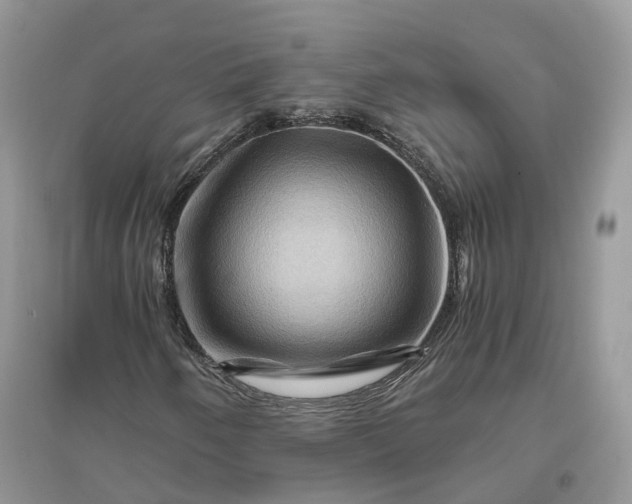 X0000096191250200802011359