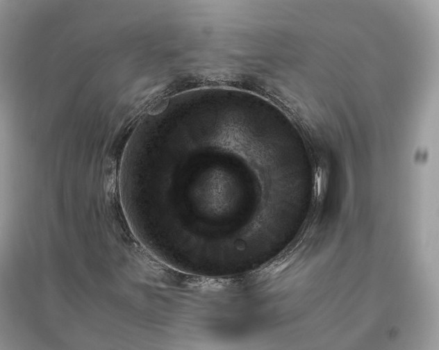 X0000096191251200802011359