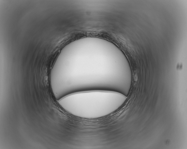 X0000096191252200802011359