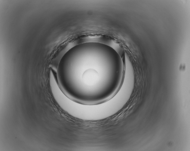 X0000096191253200802011359