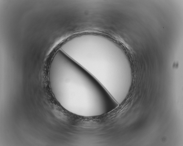 X0000096191256200802011359