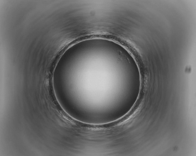 X0000096191257200802011359