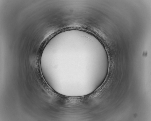 X0000096191258200802011359