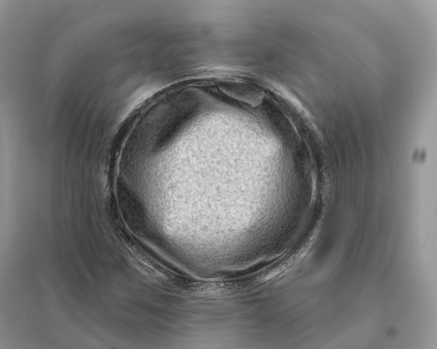 X0000096191259200802011359