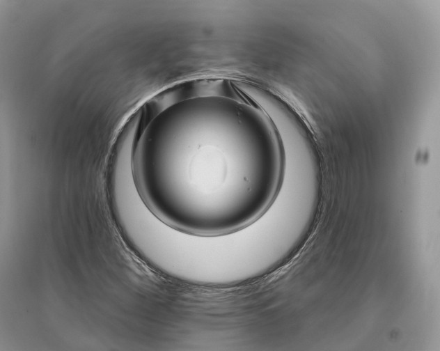 X0000096191260200802011359