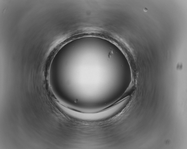 X0000096191261200802011359