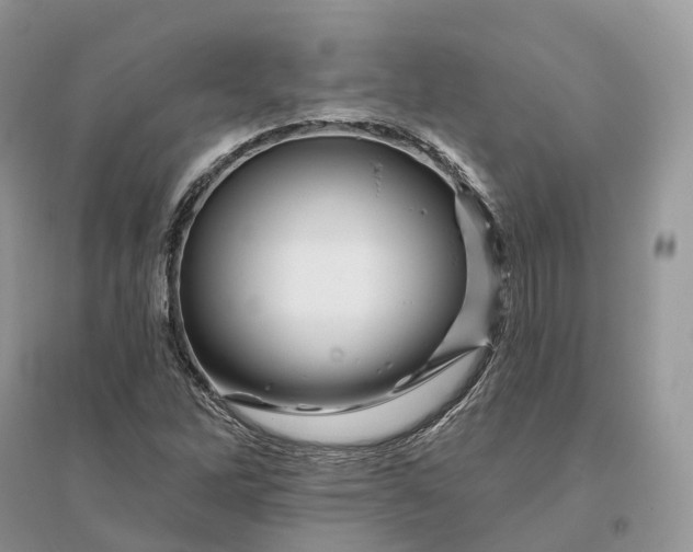 X0000096191262200802011359