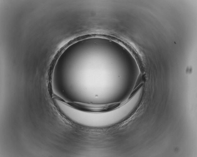 X0000096191264200802011358