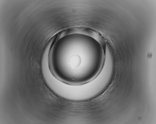 X0000096191265200802011358
