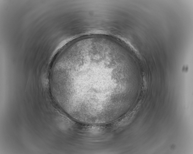 X0000096191266200802011358