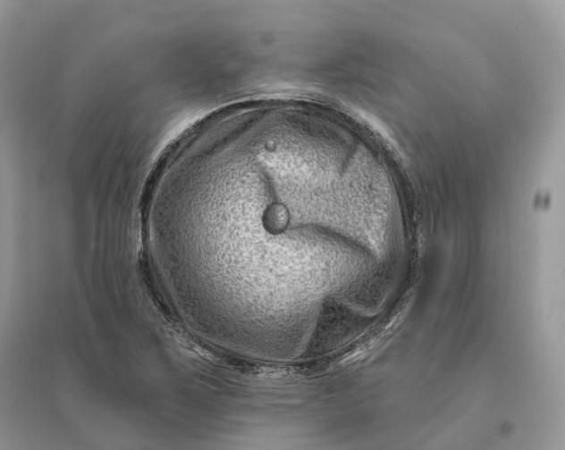 X0000096191267200802011358