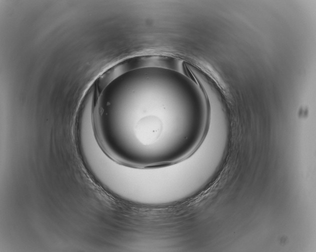 X0000096191268200802011358