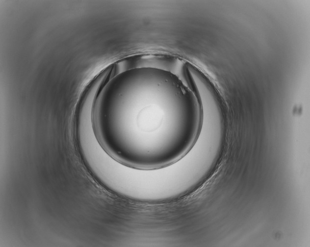 X0000096191269200802011358