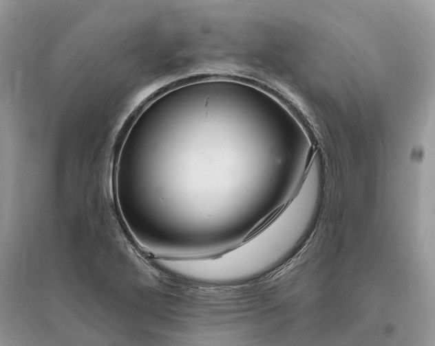 X0000096191272200802011358