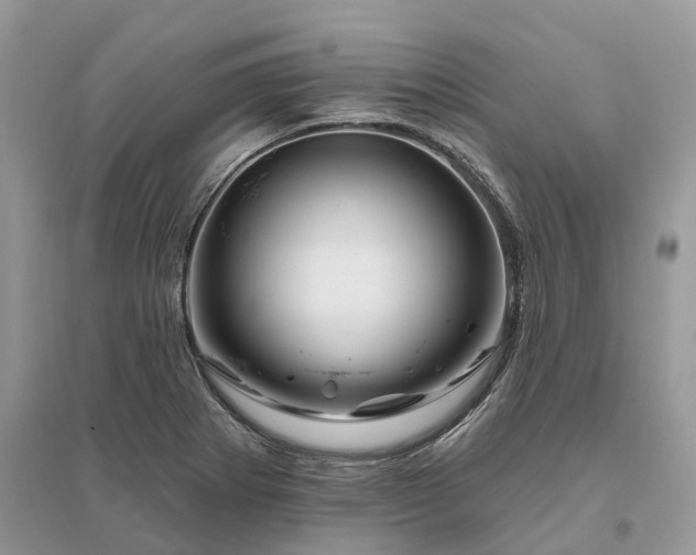 X0000096191273200802011358