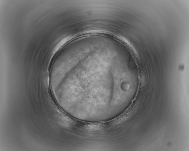 X0000096191274200802011358