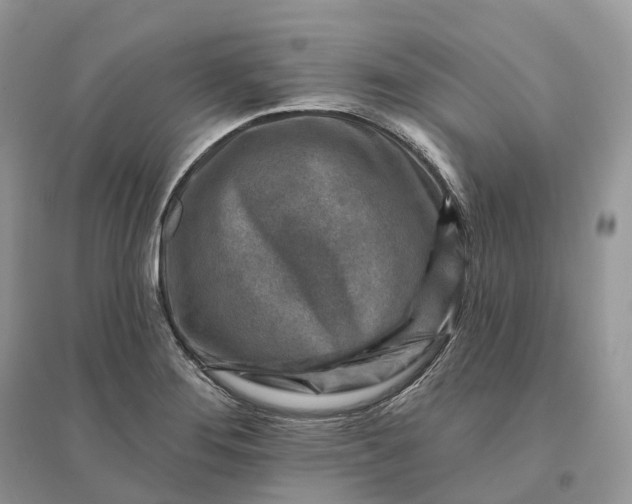 X0000096191276200802011358