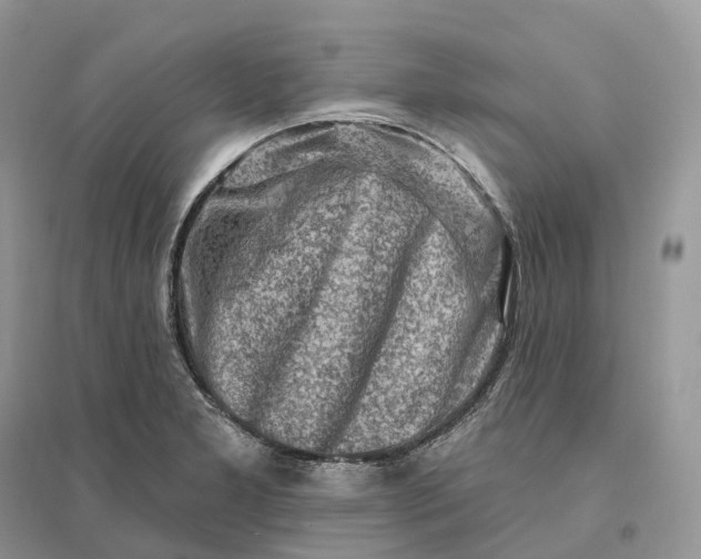 X0000096191277200802011358