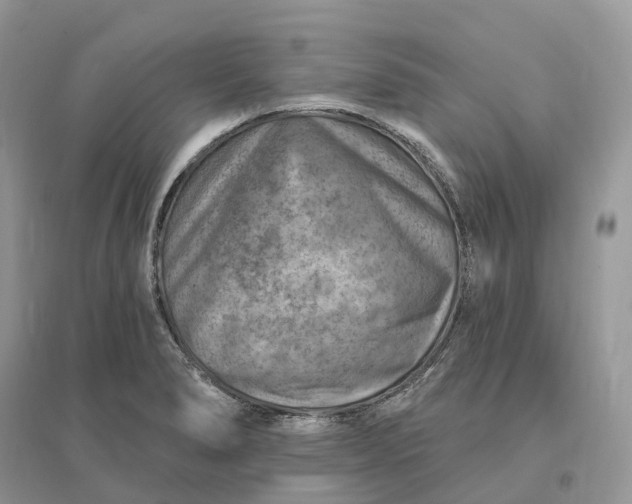 X0000096191278200802011358