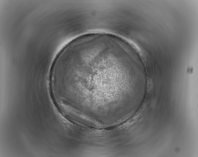 X0000096191279200802011358