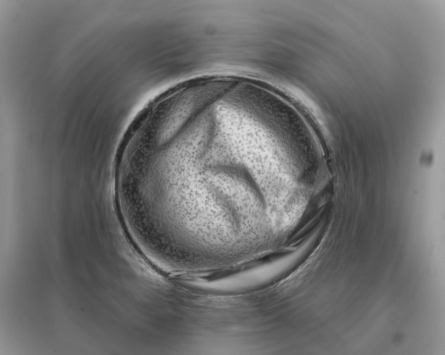 X0000096191280200802011358