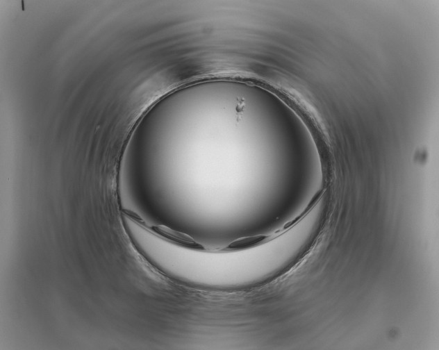 X0000096191281200802011358