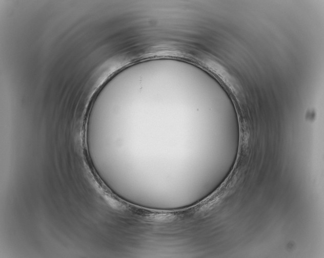 X0000096191282200802011358