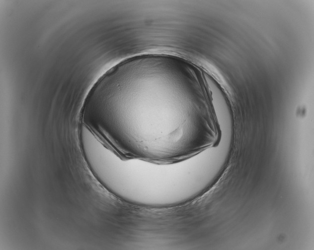 X0000096191284200802011358