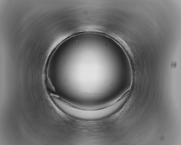 X0000096191285200802011358