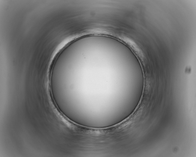 X0000096191286200802011358