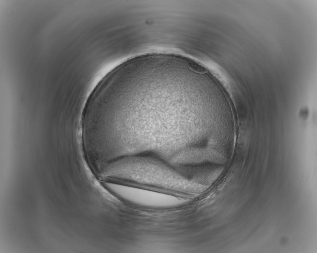 X0000096191287200802011358