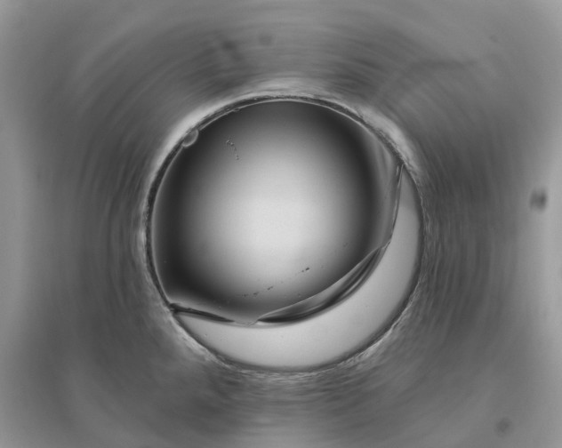 X0000096191288200802011358