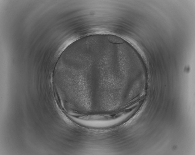 X0000096191289200802011358