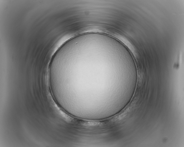X0000096191290200802011358