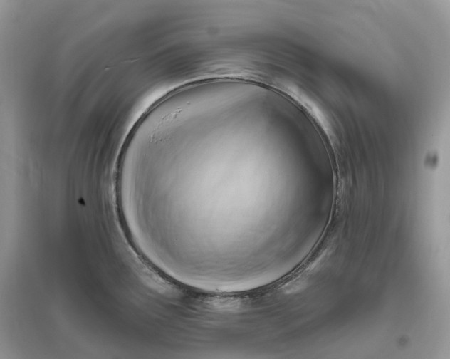 X0000096191291200802011358