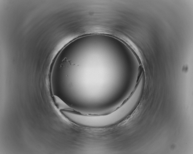 X0000096191293200802011358