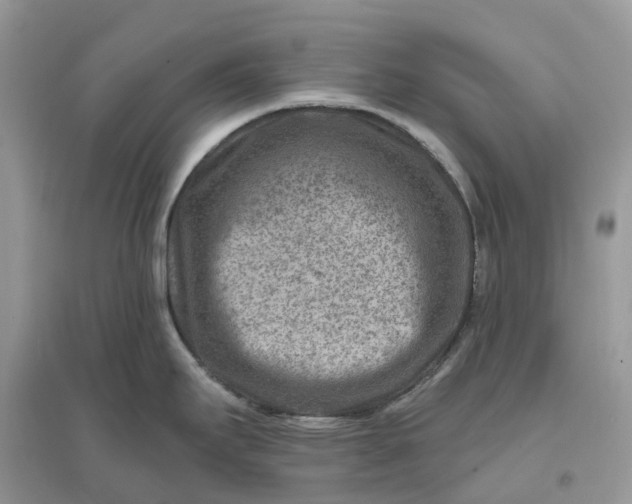 X0000096191295200802011358
