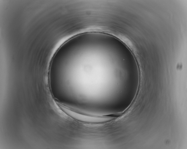 X0000096191296200802011358