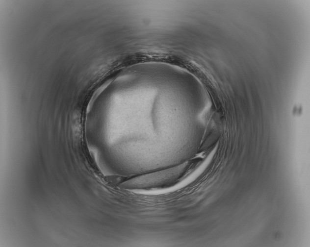 X0000096191298200802011357