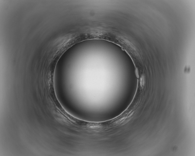 X0000096191299200802011357
