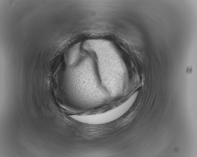 X0000096191300200802011357