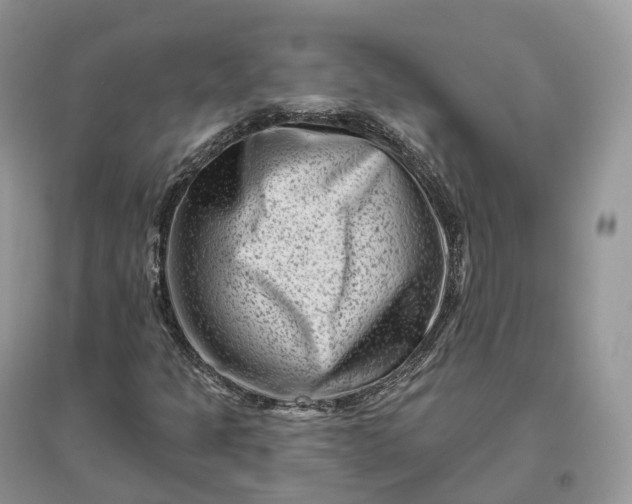 X0000096191301200802011357