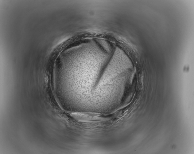 X0000096191302200802011357