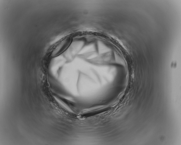 X0000096191303200802011357