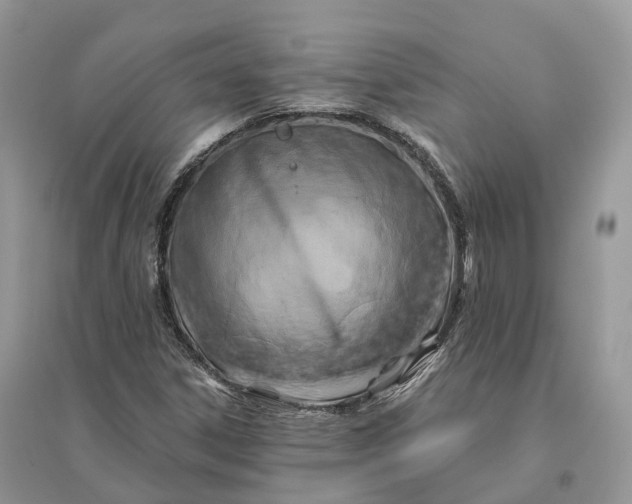 X0000096191306200802011357