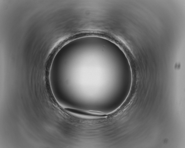 X0000096191307200802011357