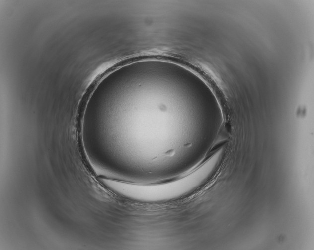X0000096191308200802011357