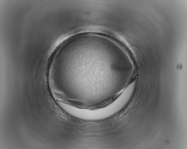 X0000096191312200802011357