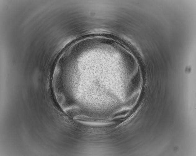 X0000096191313200802011357
