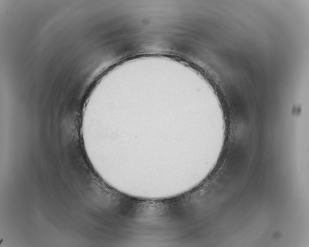 X0000096191314200802011357